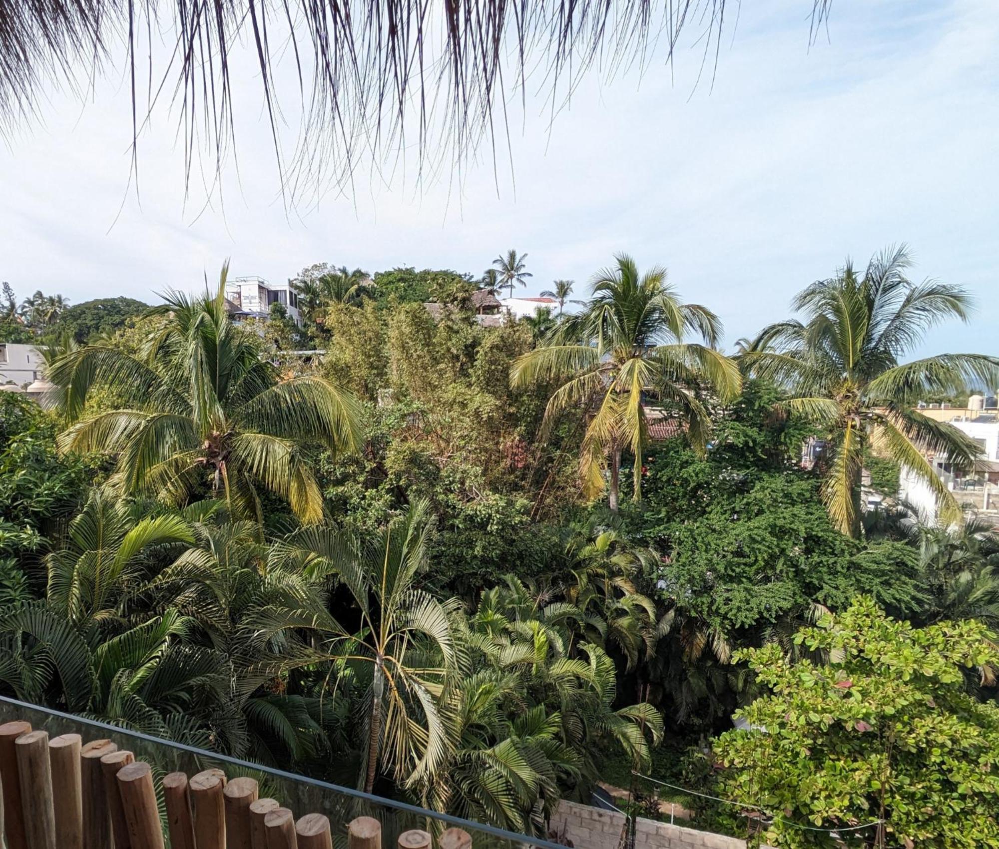 Hotel Casa Pepe à Sayulita Extérieur photo